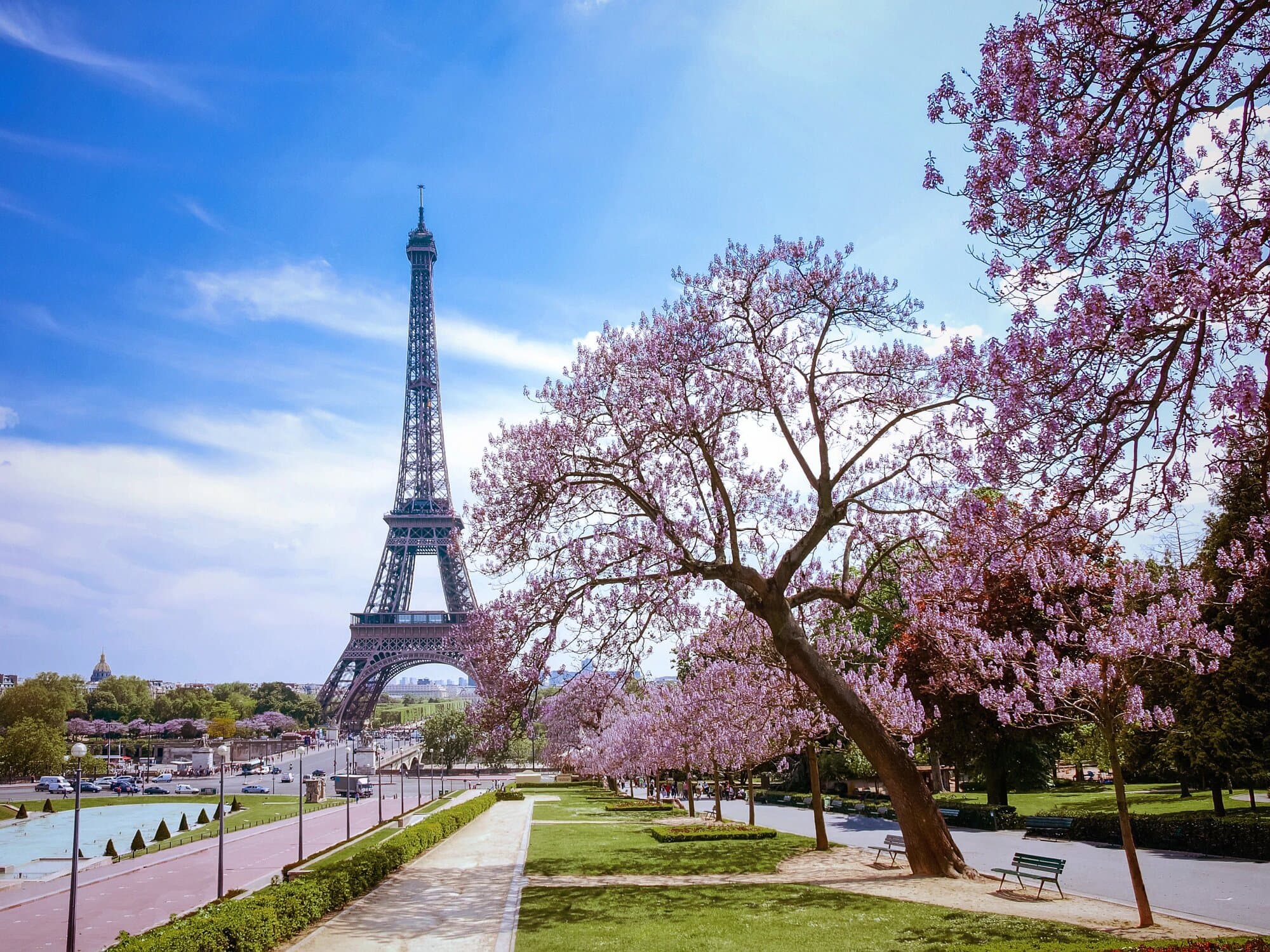 Impressions of the Seine & Paris